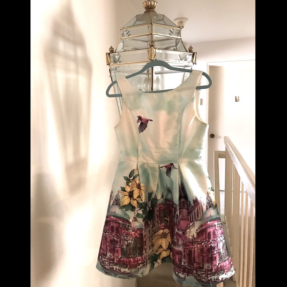 Pleated Paris and Hummingbirds Dress 💖💖